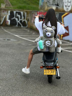 Oso Teddy Bear Sprayground Backpack GRIS