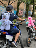 Oso Teddy Bear Sprayground Backpack BLANCO